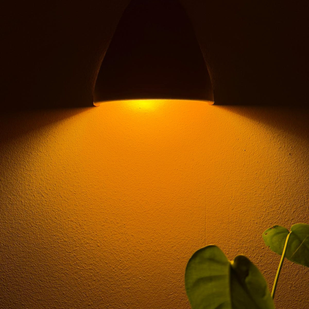 Bombilla BIO LED Luz Naranja 1800K Flicker FREE - E27
