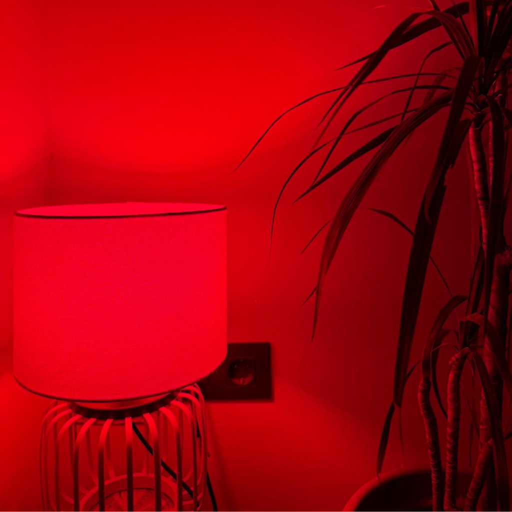 Bombilla BIO LED Luz Roja Flicker FREE - E27